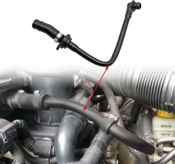 Fren Mèt Silenn Cup